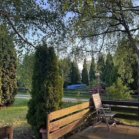 Ferienbungalow Mit Hochbett Und Terrasse Am Zeulenrodaer Ferienhaus Zeulenroda-Triebes